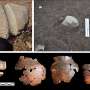 Ancient copper mine hints that Iberia played an important role in Bronze Age trade networks